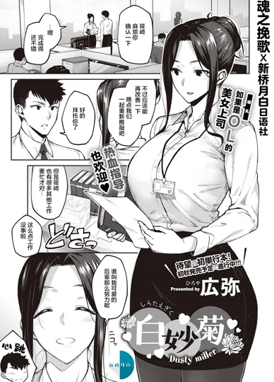 白妙菊